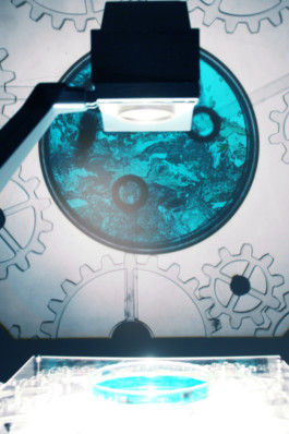 JENNIFER JOY MELCHER