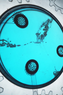 JENNIFER JOY MELCHER